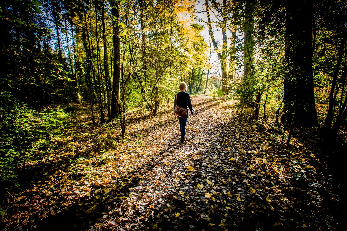 rear-view-woman-walking-forest.jpg