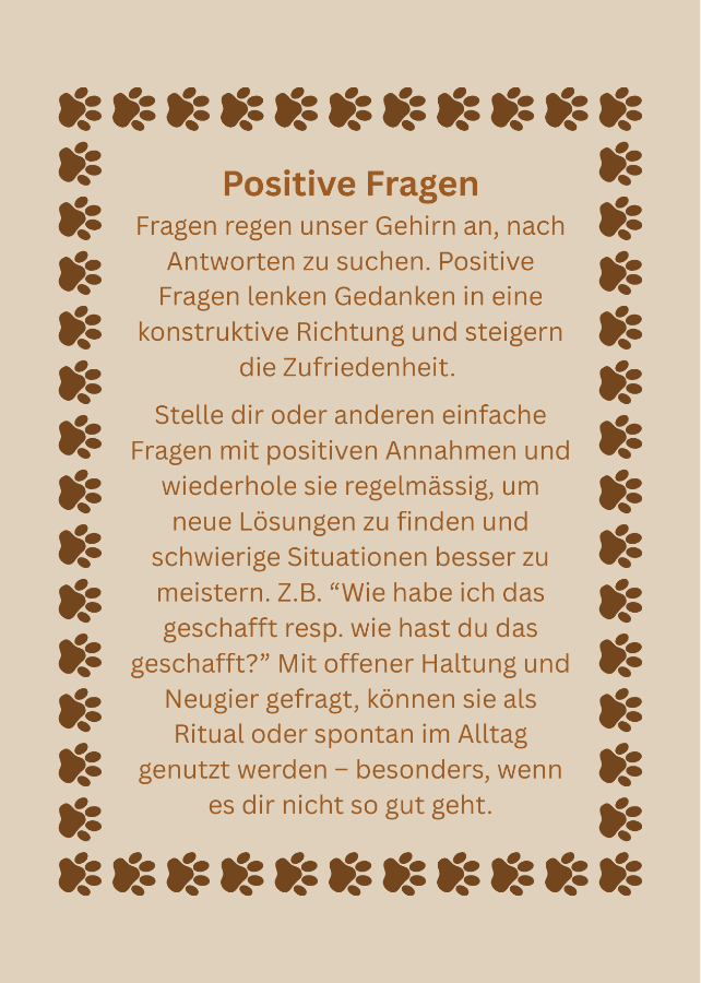 12 Positive Fragen.png
