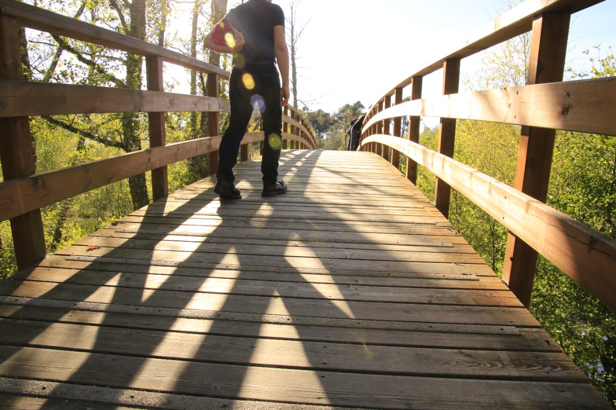 rear-view-man-walking-wooden-footbridge.jpg