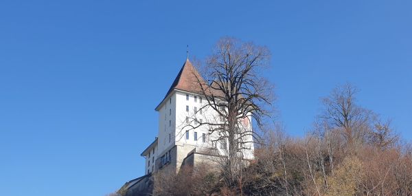 20260319_133730 zugeschnitten.jpg