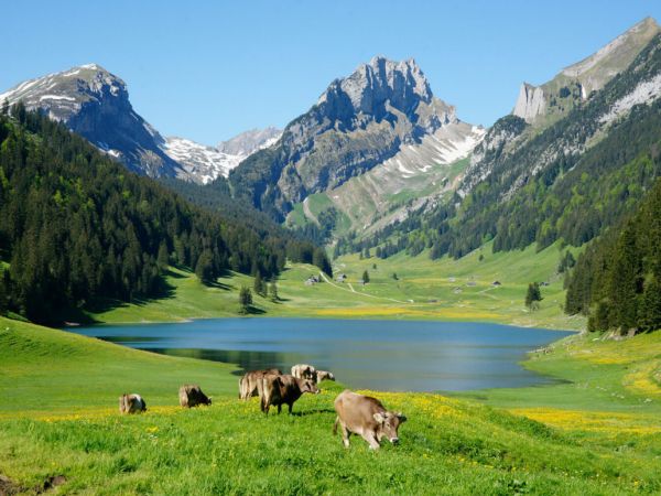 Plattenbödeli.52.jpg